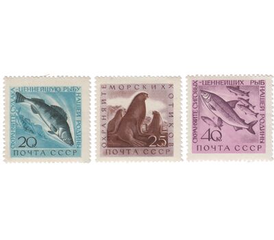  3 почтовые марки «Охрана ценных рыб и морских животных» СССР 1960, фото 1 