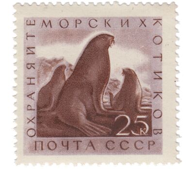  3 почтовые марки «Охрана ценных рыб и морских животных» СССР 1960, фото 3 