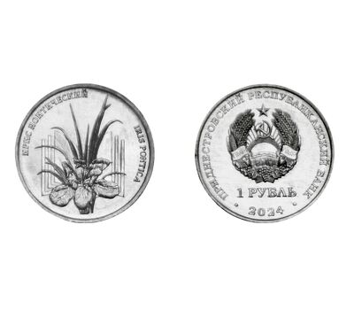  Монета 1 рубль 2024 «Ирис понтический. Красная книга» Приднестровье, фото 3 
