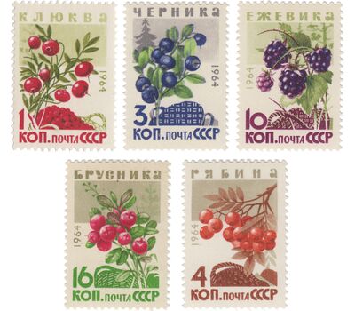  5 почтовых марок «Ягоды» СССР 1964, фото 1 