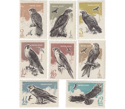  8 почтовых марок «Хищные птицы» СССР 1965, фото 1 