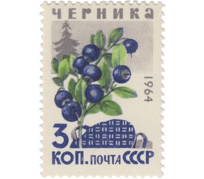  5 почтовых марок «Ягоды» СССР 1964, фото 3 