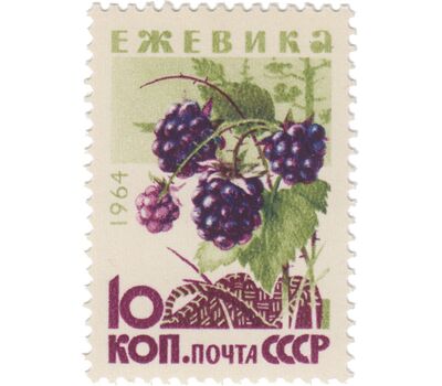 5 почтовых марок «Ягоды» СССР 1964, фото 4 