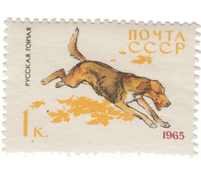  10 почтовых марок «Служебные и охотничьи собаки» СССР 1965, фото 2 