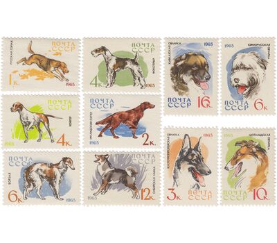  10 почтовых марок «Служебные и охотничьи собаки» СССР 1965, фото 1 