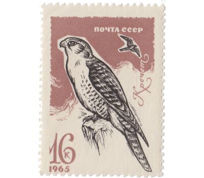  8 почтовых марок «Хищные птицы» СССР 1965, фото 9 