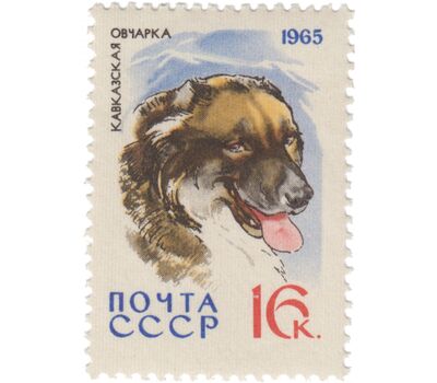  10 почтовых марок «Служебные и охотничьи собаки» СССР 1965, фото 3 