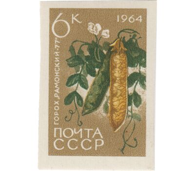  7 почтовых марок «Сельскохозяйственные культуры» СССР 1964 (без перфорации), фото 4 