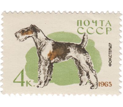 10 почтовых марок «Служебные и охотничьи собаки» СССР 1965, фото 5 