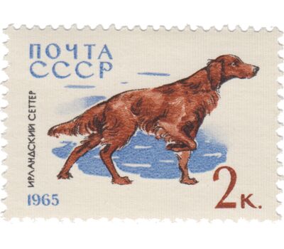  10 почтовых марок «Служебные и охотничьи собаки» СССР 1965, фото 6 
