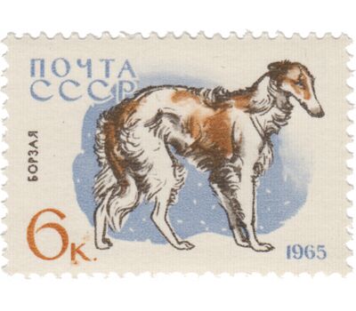  10 почтовых марок «Служебные и охотничьи собаки» СССР 1965, фото 7 