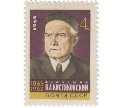  Почтовая марка «100 лет со дня рождения В. А. Кистяковского» СССР 1965, фото 1 