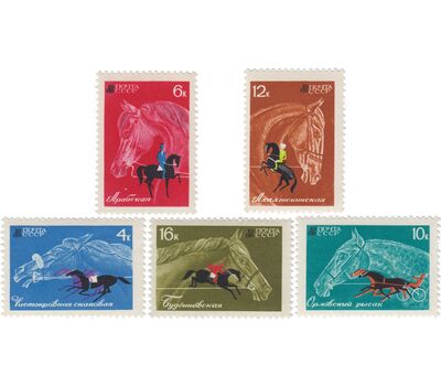  5 почтовых марок «Коневодство и конный спорт» СССР 1968, фото 1 