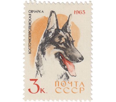  10 почтовых марок «Служебные и охотничьи собаки» СССР 1965, фото 8 