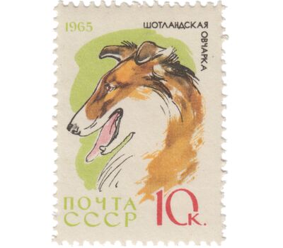  10 почтовых марок «Служебные и охотничьи собаки» СССР 1965, фото 10 