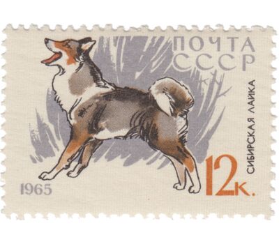 10 почтовых марок «Служебные и охотничьи собаки» СССР 1965, фото 11 