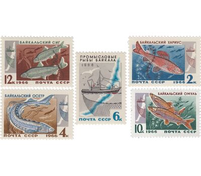  5 почтовых марок «Промысловые рыбы Байкала» СССР 1966, фото 1 