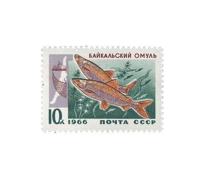  5 почтовых марок «Промысловые рыбы Байкала» СССР 1966, фото 5 