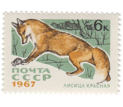  7 почтовых марок «Пушные промысловые звери» СССР 1967, фото 4 