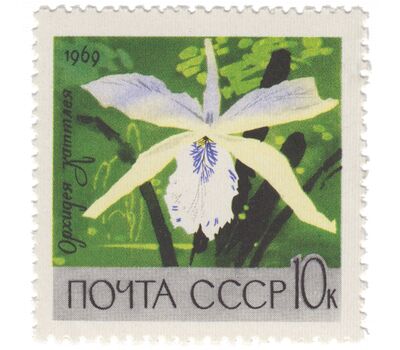  5 почтовых марок «Главный ботанический сад Академии наук в Москве» СССР 1969, фото 4 