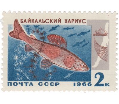  5 почтовых марок «Промысловые рыбы Байкала» СССР 1966, фото 4 