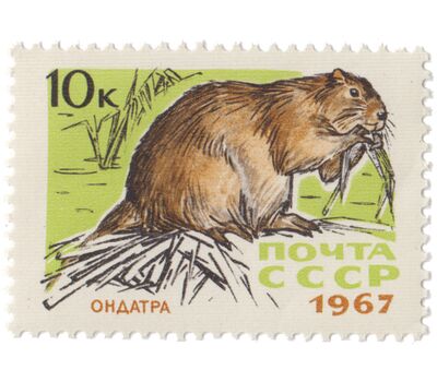  7 почтовых марок «Пушные промысловые звери» СССР 1967, фото 5 