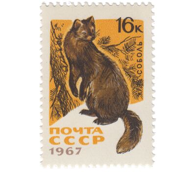  7 почтовых марок «Пушные промысловые звери» СССР 1967, фото 7 