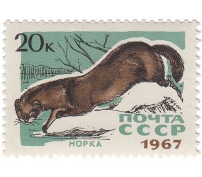  7 почтовых марок «Пушные промысловые звери» СССР 1967, фото 8 