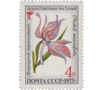  5 почтовых марок «Лекарственные растения» СССР 1973, фото 2 