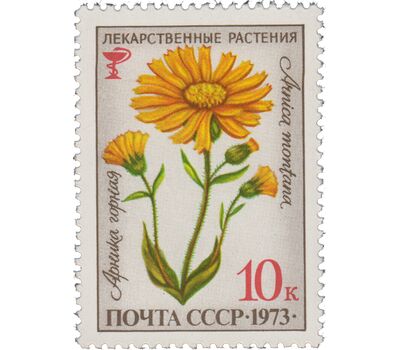  5 почтовых марок «Лекарственные растения» СССР 1973, фото 3 
