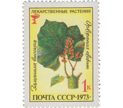  5 почтовых марок «Лекарственные растения» СССР 1973, фото 4 