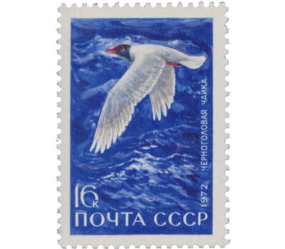  5 почтовых марок «Пернатые — обитатели побережий морей и океанов» СССР 1972, фото 4 