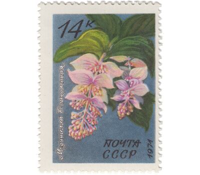  Почтовые марки «Тропические и субтропические растения» СССР 1971, фото 3 