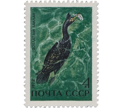  5 почтовых марок «Пернатые — обитатели побережий морей и океанов» СССР 1972, фото 5 