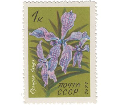 Почтовые марки «Тропические и субтропические растения» СССР 1971, фото 4 