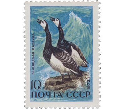  5 почтовых марок «Пернатые — обитатели побережий морей и океанов» СССР 1972, фото 6 