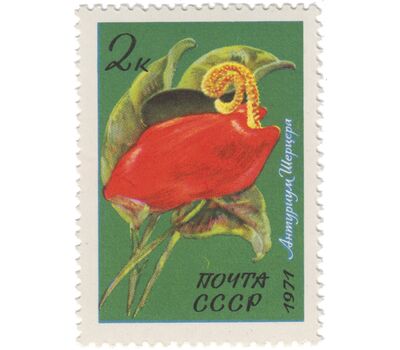  Почтовые марки «Тропические и субтропические растения» СССР 1971, фото 5 