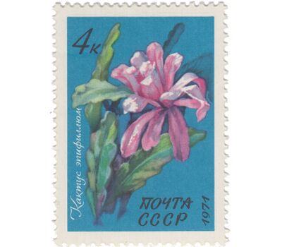  Почтовые марки «Тропические и субтропические растения» СССР 1971, фото 6 