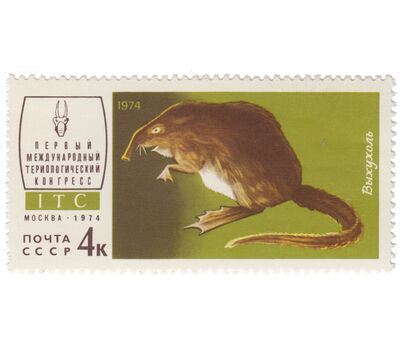  5 почтовых марок «I Международный териологический конгресс в Москве» СССР 1974, фото 2 