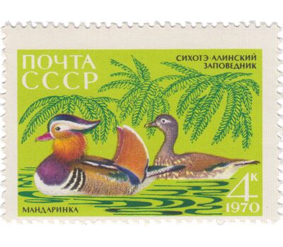  5 почтовых марок «35 лет Сихоте-Алинскому государственному заповеднику» СССР 1970, фото 3 