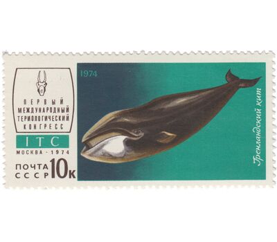  5 почтовых марок «I Международный териологический конгресс в Москве» СССР 1974, фото 3 