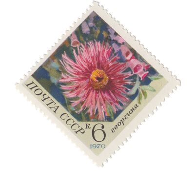  5 почтовых марок «Цветы» СССР 1970, фото 3 