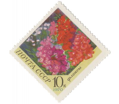  5 почтовых марок «Цветы» СССР 1970, фото 4 