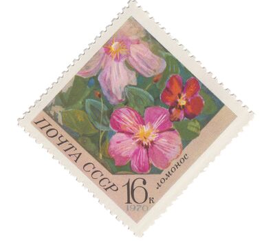  5 почтовых марок «Цветы» СССР 1970, фото 6 