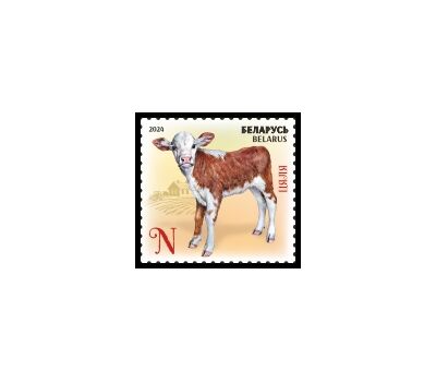 Почтовая марка «Детеныши домашних животных. Телёнок» Беларусь 2024, фото 1 