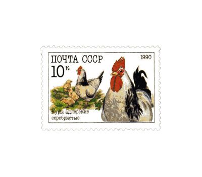  3 почтовые марки «Домашние птицы» СССР 1990, фото 3 