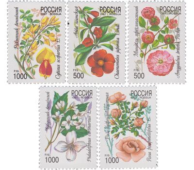  5 почтовых марок «Декоративные кустарники России» 1997, фото 1 