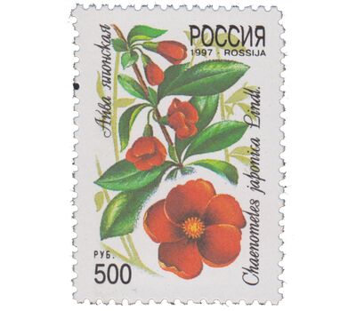  5 почтовых марок «Декоративные кустарники России» 1997, фото 3 