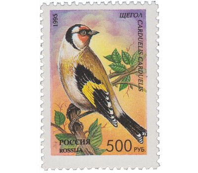  5 почтовых марок «Певчие птицы России» 1995, фото 3 