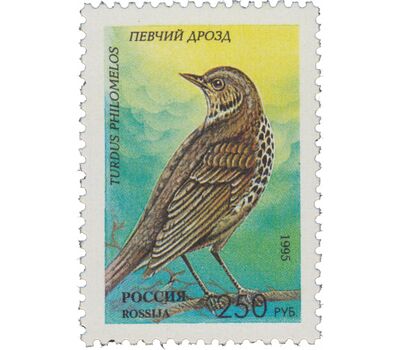  5 почтовых марок «Певчие птицы России» 1995, фото 5 